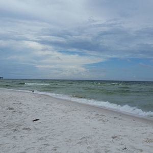 Meet your Posher, Theresa